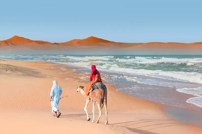Viaggio Marrakech e Deserto Agafay in 4 Giorni